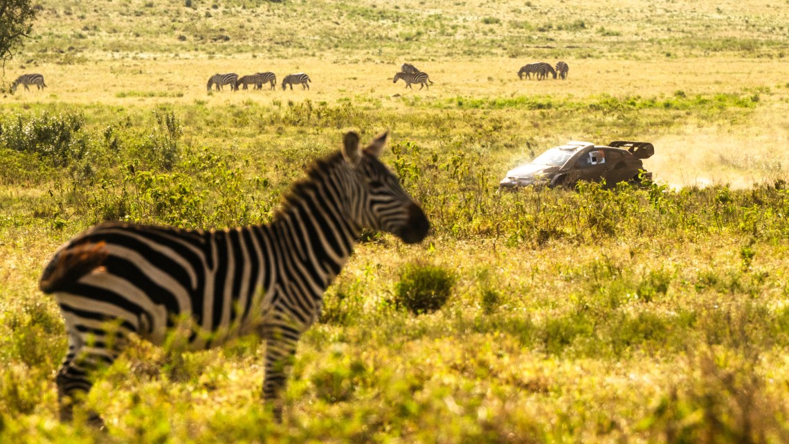 Weather report: the latest forecast for Safari Rally Kenya